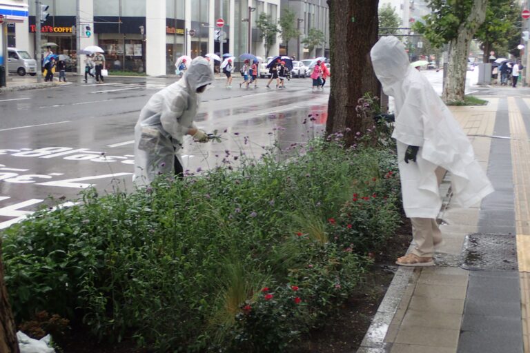 タウンガーデナーさんの活動の様子