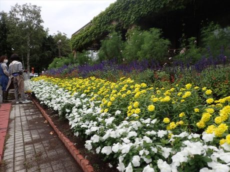 入口前のボーダー花壇