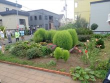 コミュニティーガーデンの様子