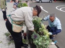 補植しているところ