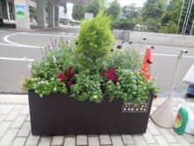 アネモネ班のコンテナ