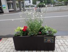 クレオメインズ班のコンテナ