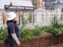 お菓子にちなんだ名前の植物の植栽