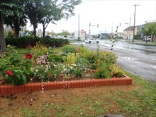 駅の方から見た新しい花壇