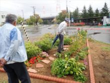 花壇の中の敷石