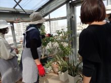 一つ一つの植物を見ている所