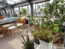 ソルガーデンの観葉植物