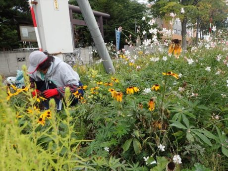 SSPのメンテナンスの様子