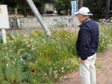 散歩中の男性と花壇
