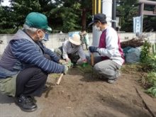 鋪道の雑草処理