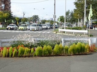 この日の作業後の様子