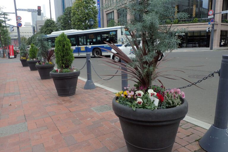 札幌駅前通ストリートガーデン