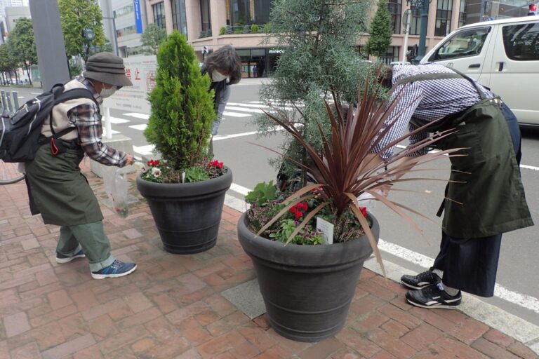 札幌駅前通ストリートガーデン　メンテナンスのようす