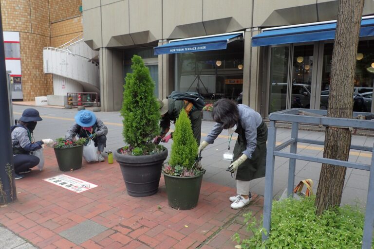札幌駅前通に設置されているプランターのメンテナンスを行う様子