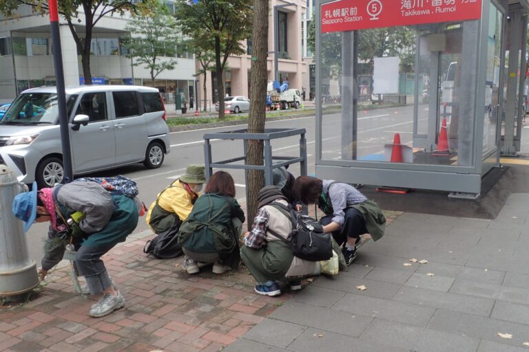 街路ますやレンガの雑草を抜いている様子