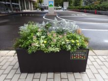 ライラック班のコンテナ