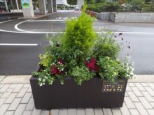 アネモネ班のコンテナ