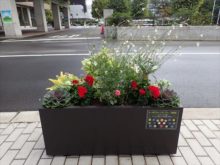 クレオメインズ班のコンテナ