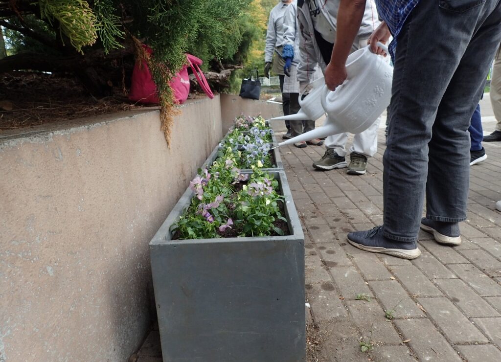 コンテナへの水やり