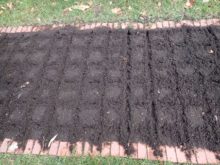 升目の描かれた花壇の様子