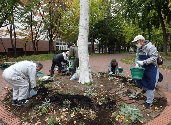 補植作業をしているところ