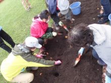 西５丁目西側ボーダー花壇の様子