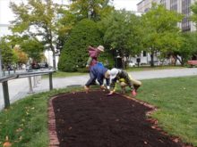 レンガの上の土をはらっているところ