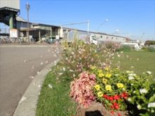 JR百合が原駅前の花壇の様子