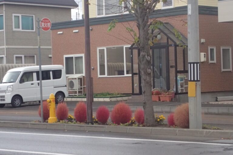 六番通りのコキア