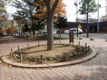 もう1つの円形花壇