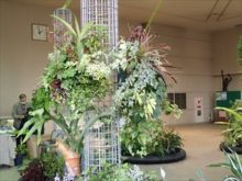 ハンギングバスケット