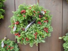 販売中のリース