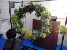 アジサイの取り付け