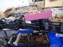 たくさんの材料