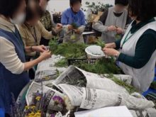 ニオイヒバの流れ作業