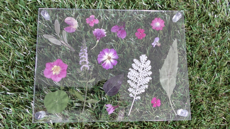 ピンク系のフローティングフレーム