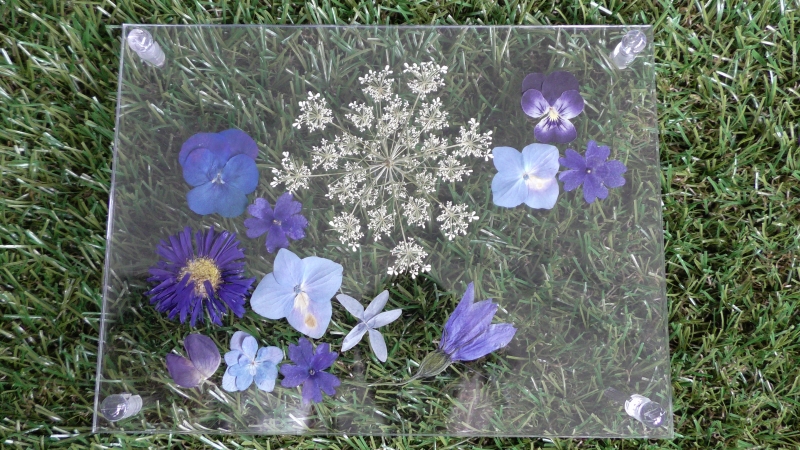 ブルー系のフローティングフレーム