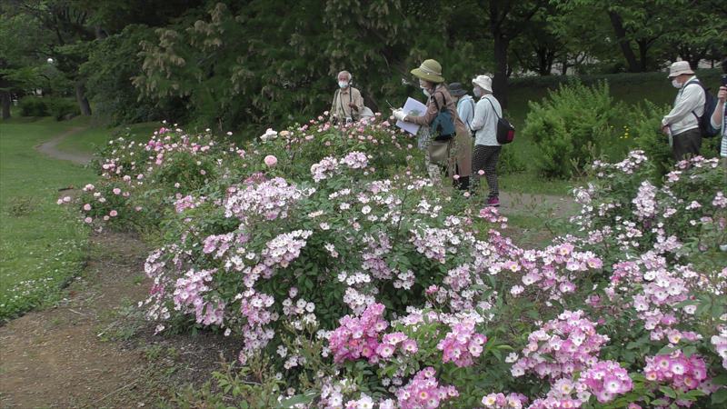 香りの広場に到着