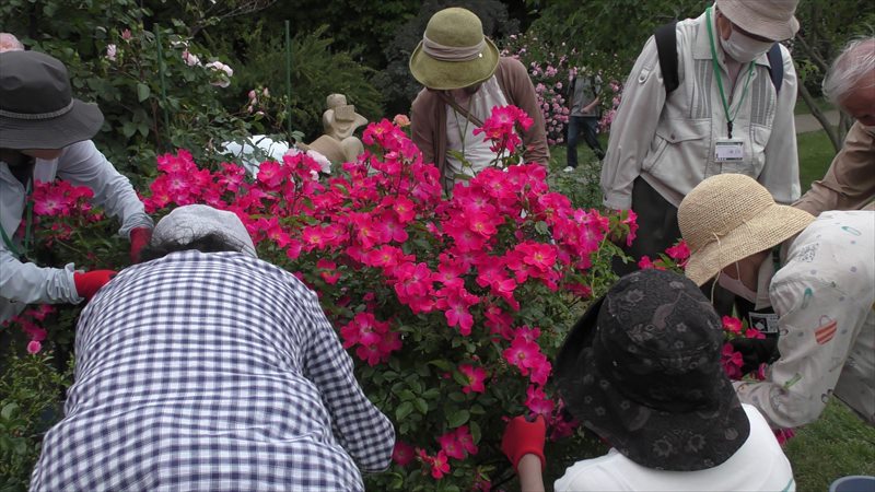 みんなで花がらつみ