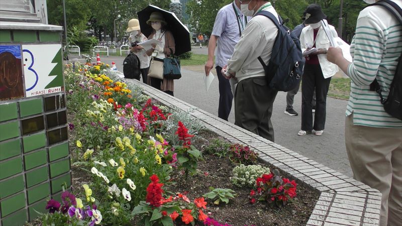 カルガモみどりの会の花壇