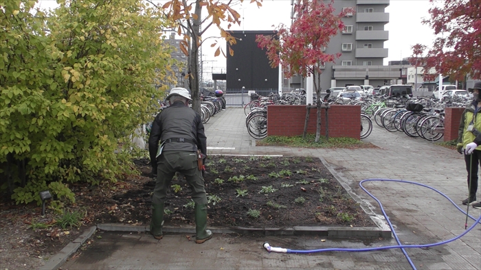 最後までしっかりと水やり