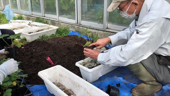 指導している永田さん