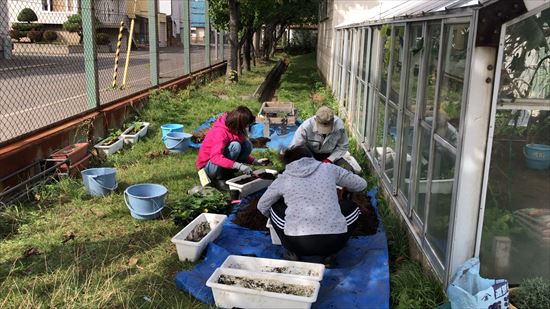 温室横での作業