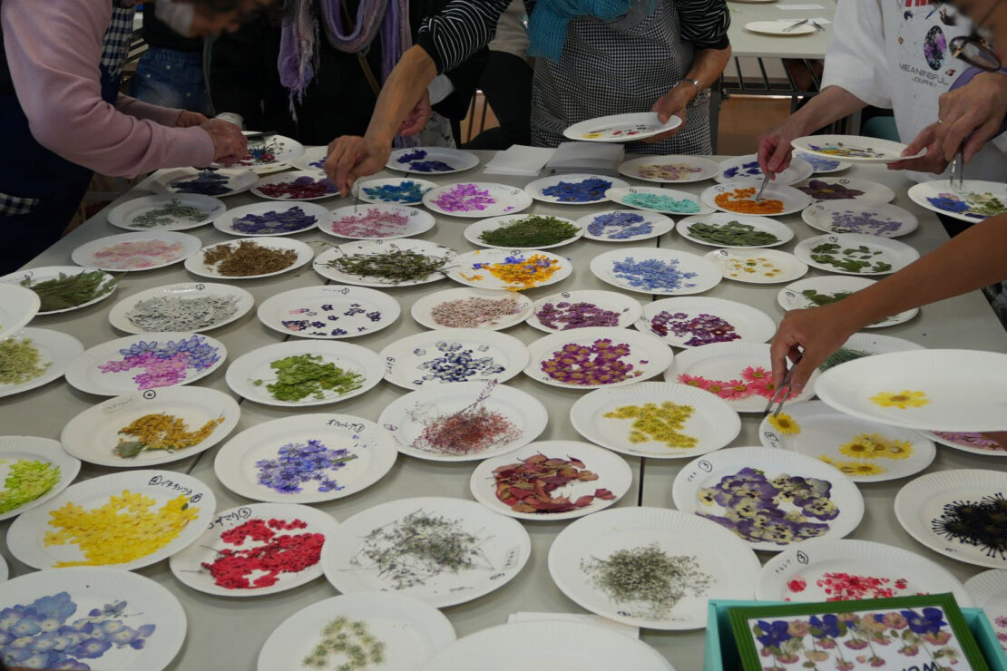 押し花を選ぶようす 