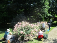 中島公園フローレスの会
