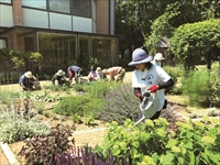 花と緑のＥＧＧ