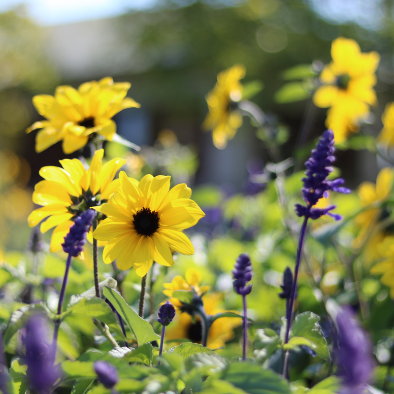コンクール・表彰制度の写真