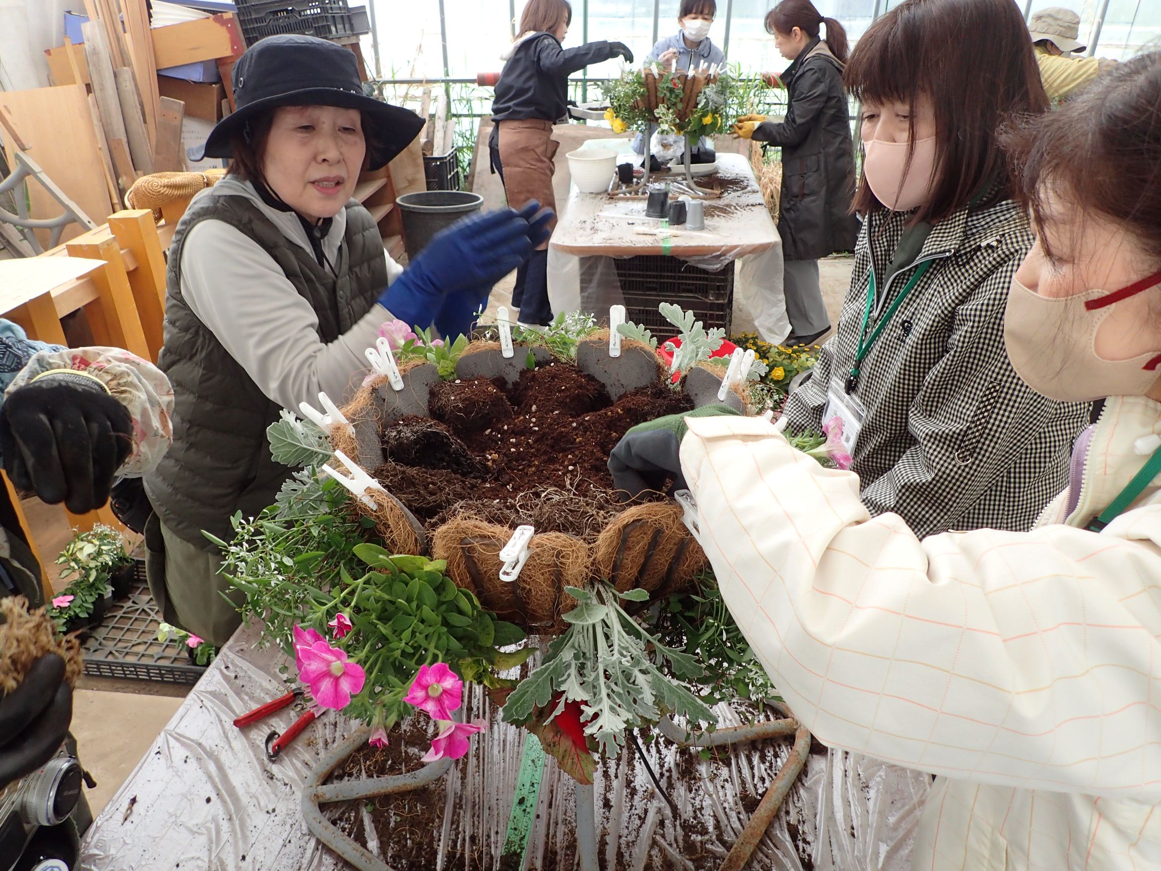 藤田講師が植え方の指導をしているようす
