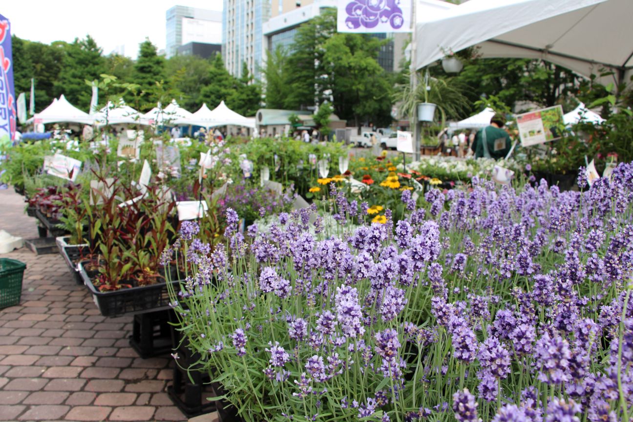 西7丁目会場の園芸店のようす