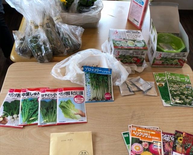 種苗交換会に並べられた種